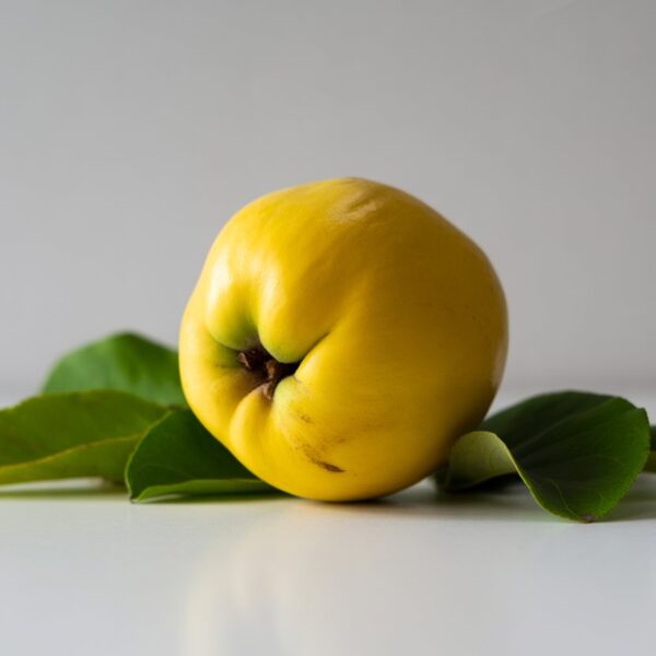 Fruta marmelo amarela fresca com folhas verdes sobre superfície branca.