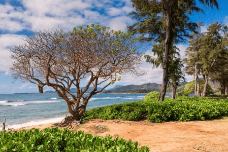 Quais são os melhores destinos no Espírito Santo para quem ama praia e natureza?