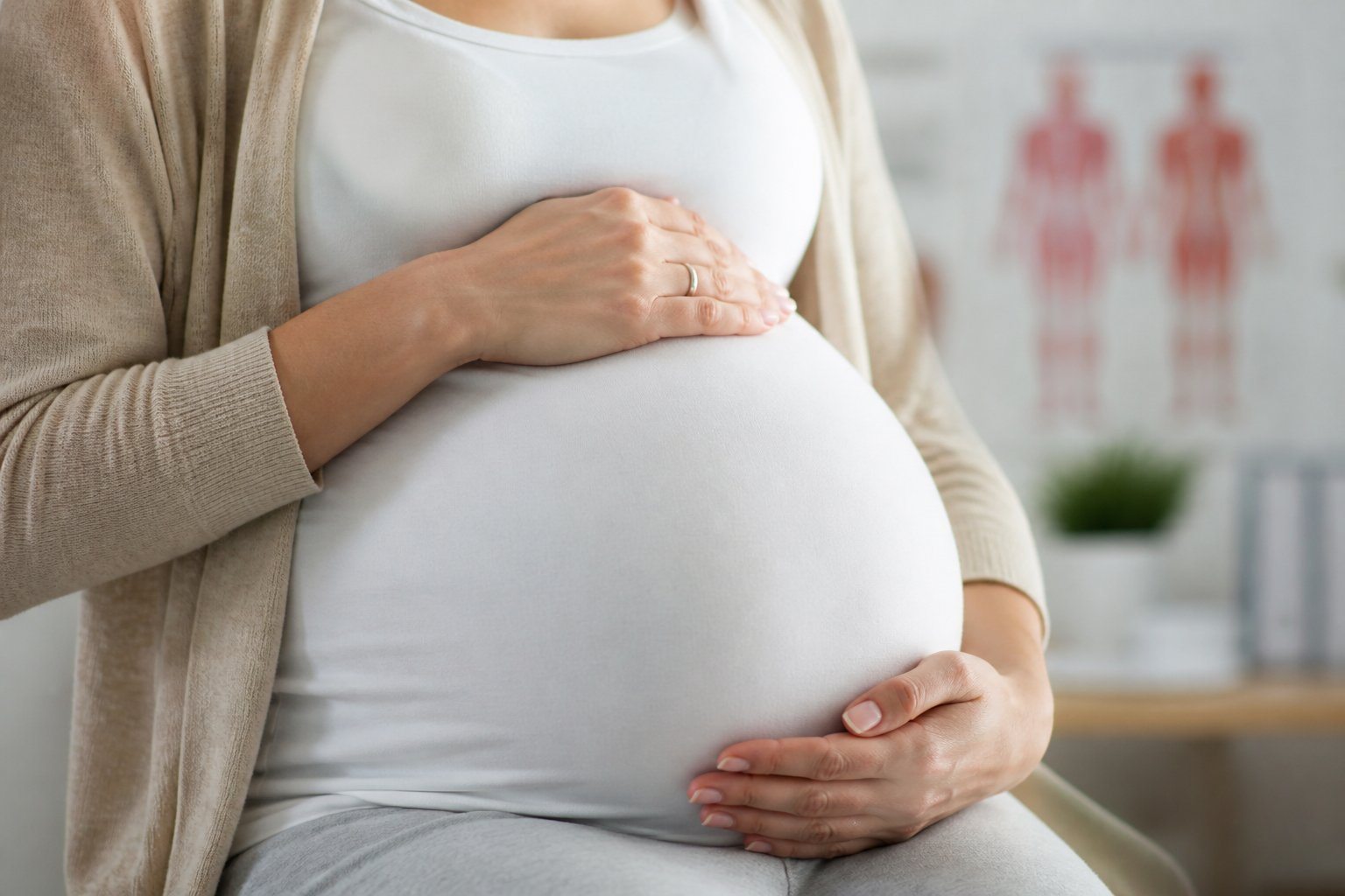 Barriga de mulher grávida com mãos delicadamente apoiadas, representando o processo de dilatação do colo do útero e a relação com o tampão.